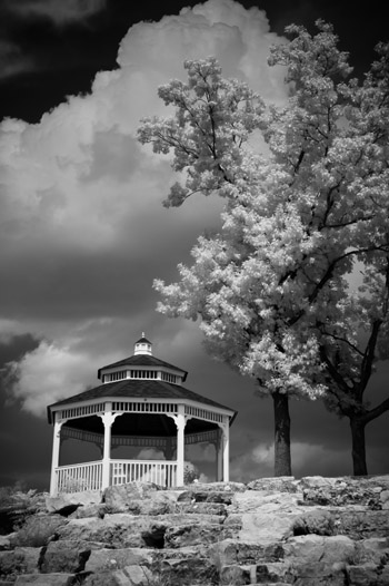 BlackWhiteimage10