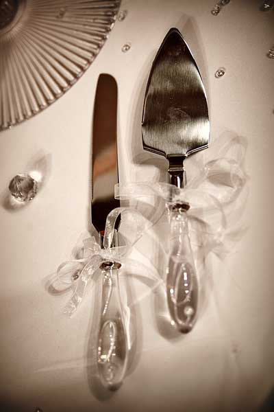 Cake knife and server