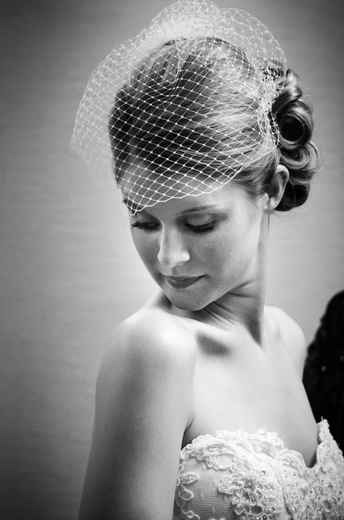 Bird Cage Veil