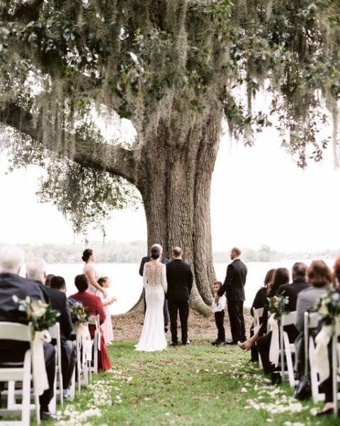 Couple getting married under a huge tree.