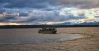 Gyrfalcon leaves Settle for Port Townsend (Thanks to Jacqueline Kirchner)